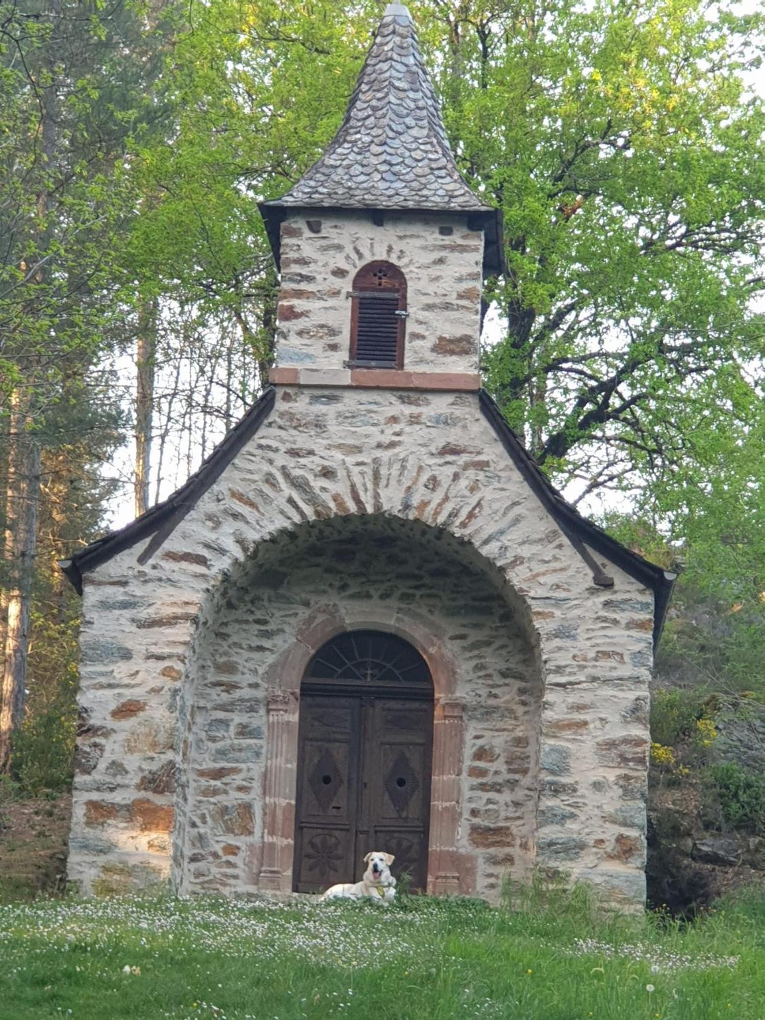 Hotel Aux Gorges Du Dourdou Conques-en-Rouergue Exteriér fotografie